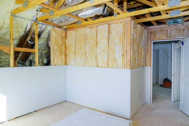 Best Basement Insulation  in Coloma, MI